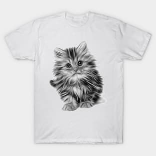 Kitten T-Shirt